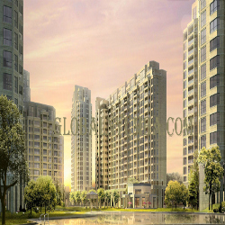DLF Exclusive